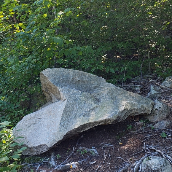 Ode to Dansko♡Heart & SouLe.. of the rocker bottom roLL clogs iconic flagship - Picture 15 of 15